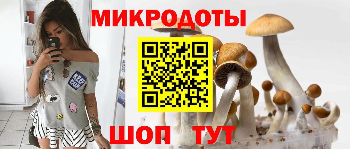 Галлюциногенные грибы Cubensis Рузаевка